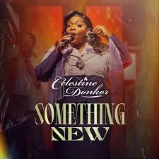 Something New – Celestine Donkor