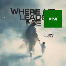 Where He Leads Me – Seun Oladele